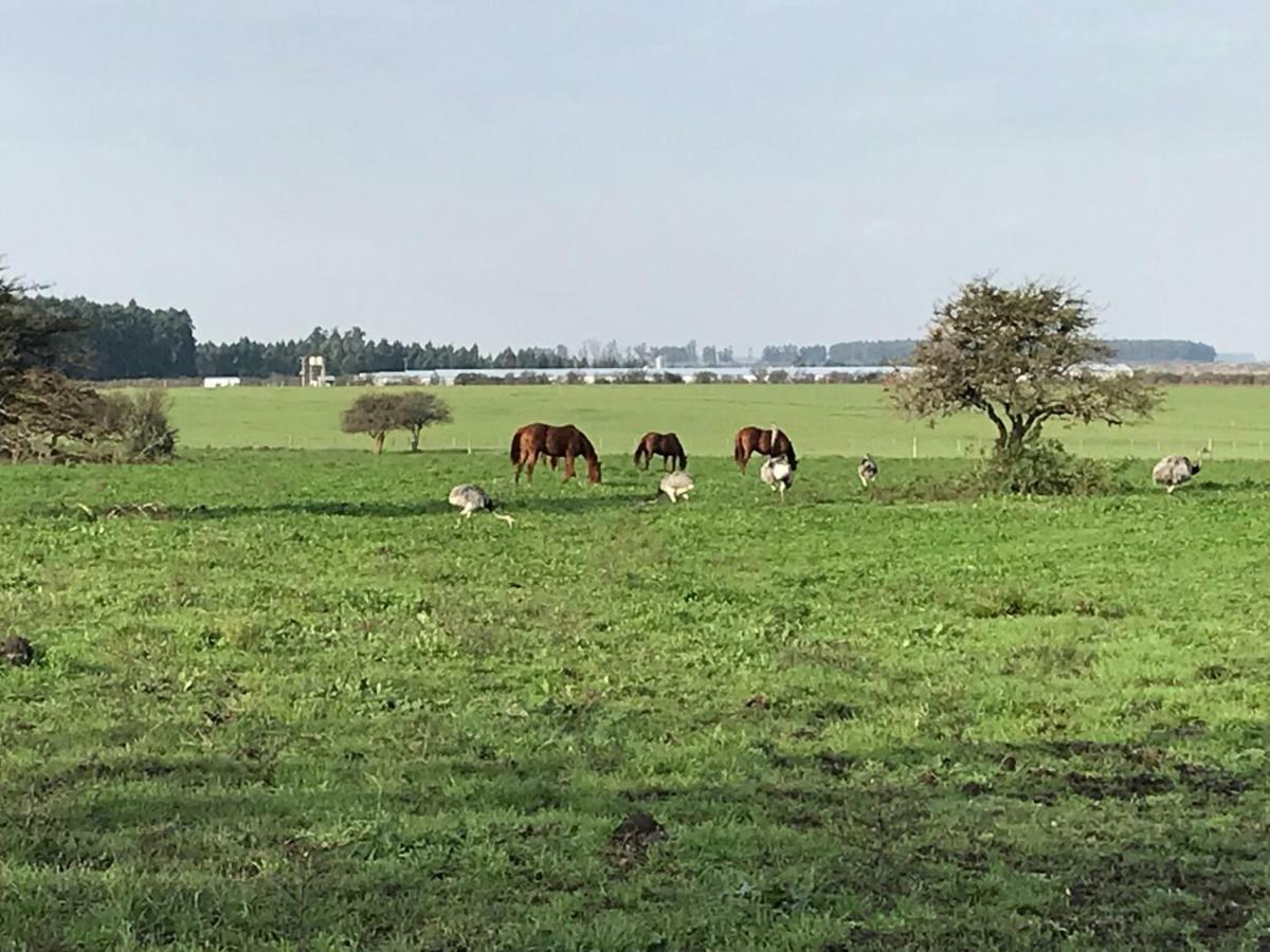 Estancia La Violeta Chajarí Exteriér fotografie